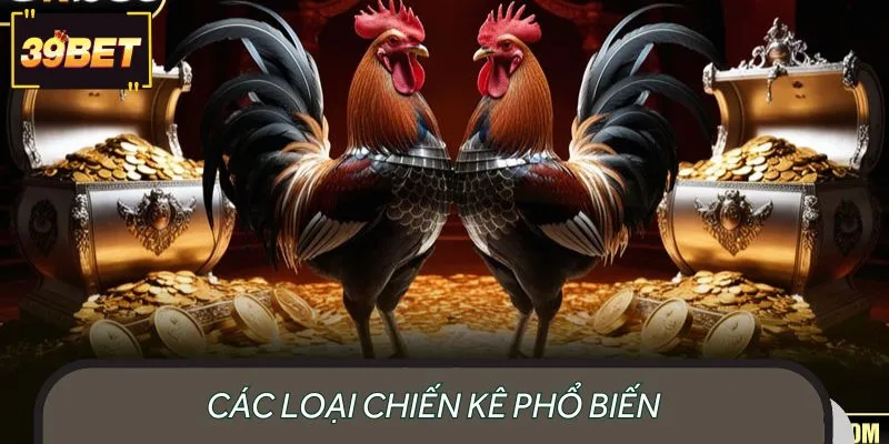 Người chơi cần hiểu rõ các nhóm chiến kê phổ biến