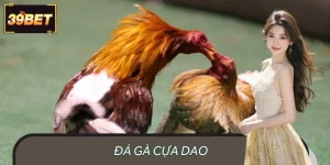 Đá Gà Cựa Dao - Thưởng Thức Trọn Vẹn Không Khí Sôi Động